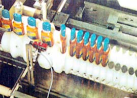 worm conveyor